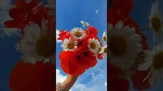 #жизнь