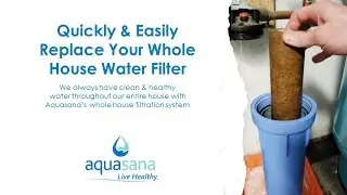 Time To Change The Whole House Water Filter | Here's How To Easily Do It For Healthy & Safe Water