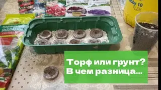 Торфяные таблетки или грунт?! Куда лучше сажать рассаду цветов