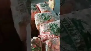 Wortel Brastagi #wortel #carrot #carrots #brastagi #ekspor #shortshorts #shortsvideo #shortpants