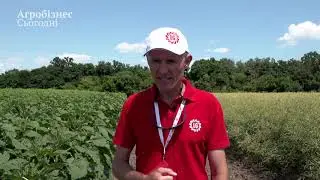 Агроплатформа 