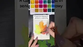 Maple leaf 