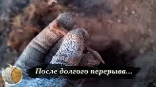 1408  / Отвел душу / коп в полях 2023 (коп с XP Deus 2)