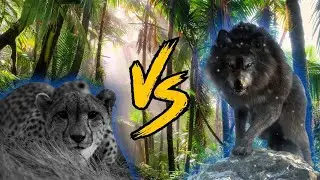Dire Wolf vs American Cheetah - Size Comparison