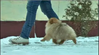 Джеймс 3,5 мес