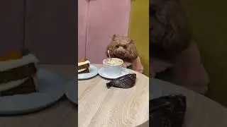 Груша пришла в кафе