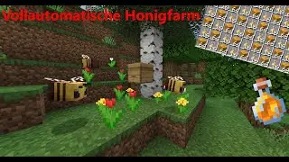 Wie baut man eine vollautomatische Honigfarm