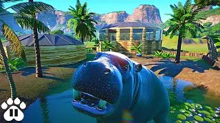 Building Underwater Viewing for Pygmy Hippos | Eco Zoo | Planet Zoo Franchise Mode Ep10