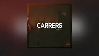 VAVNER - CARRERS