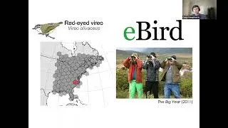 Ecology in the age of big data