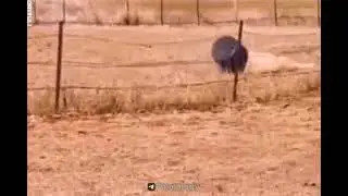 funny 😂😂😂😂