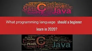 What programming language should a beginner learn in 2020?