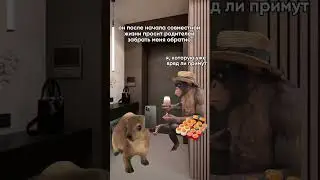 Жена обмену и возврату не подлежит 😂 #comedy #юмор #отношения
