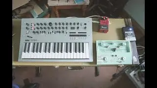 Korg Minilogue with Boss DM-2W