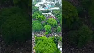 Power of students Bangladesh 🇧🇩✊#power #students #protest