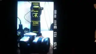 Зебра на Sony