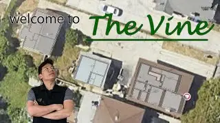 Welcome To The Vine | Triplex Renovation