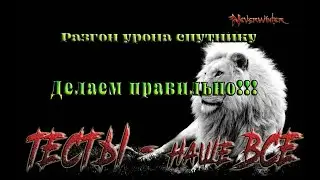 Невервинтер Правильно повышаем урон Спутникам в 20м