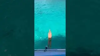 Поплавали бы? #плавание