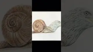 ‘Sneagle’ hybrid animal drawing #pencil #drawing #pencilart #sketch #tutorial #hybrid