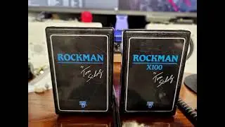 Rockman X100 - Model IIb comparison