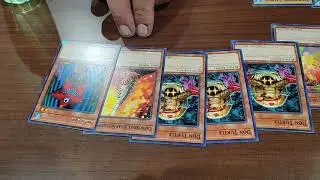 pegasus draft deck