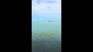 ALAKOL RELAX Зона отдыха Акши Акчи