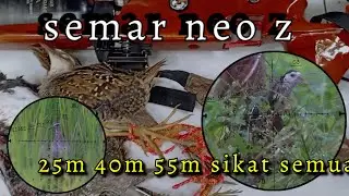 🔴BERBURU TEKUKUR SINTAR RUAK² GX NYANGKA BANYAK POINYA // SEMAR NEO Z