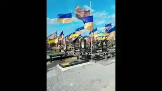 Итоги правления 95 квартала 9