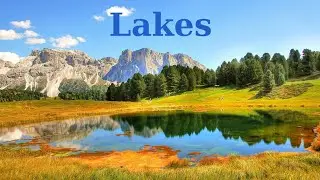 Peaceful Lake Views: A Journey to Tranquility