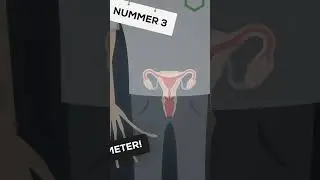 5 Fakten über unseren Körper