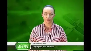 Анна Щекина стала мэром Усть-Илимска