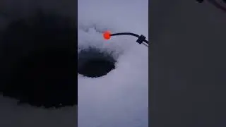 в ожидании рыбы☺️☺️☺️ 
