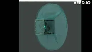 vacuum sealed object