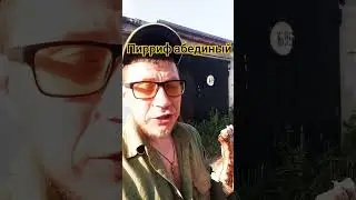 последние новости.. 5 секунд назад. #бородаотрасла
