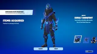 FREE Fortnite PlayStation skin!