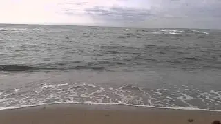 El silencio sonoro de la naturaleza