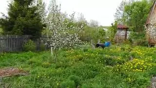 Соловей снова прилетел домой VID 20190513 WA0010