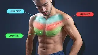 5 Min Chest Dumbbell Workout Without Bench | Chest Workout For Beginners & Advanced