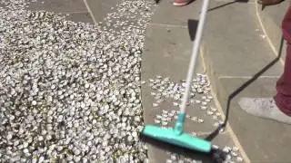 Weltrekord im Domtreppenfegen