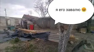 Из Сибири на юг/только мужу не говорите/копаю, ломаю, строю/жизнь на хуторе