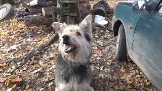 Good signals under the coil. PART 2