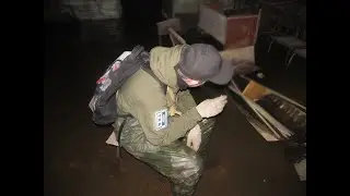 Первый стрим по пугам