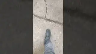 Утро после ледяного дождя