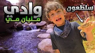 وادي بن حماد بالأردن 🤩 مشينا بالمي Wadi Bin Hammad in Jordan 🇯🇴