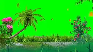 Green Screen Green Screen Effect Green Screen Status Video Green Screen Video