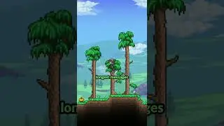 breaking terraria with an unused feature