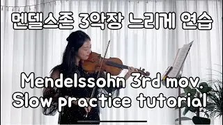 멘델스존 3악장 박자 80으로 연습하기🎻Mendelssohn Violin Concerto - 3rd Mov. slow practice [바이올린 협주곡Violin Concerto]