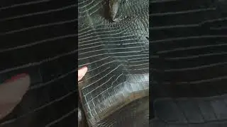 Кожа крокодила черная матовая