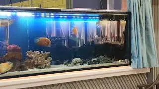 Принимаем  заказы на большие аквариумы.Зоомагазин Кеша 90)2718605